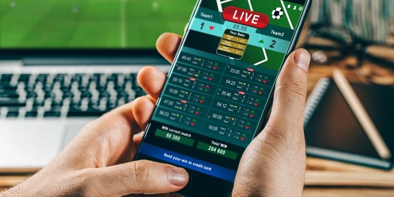 How Betting Habits Begin and Develop on KKKK